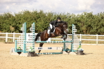 SBM_008589