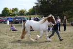 WJ6_6574