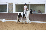SBM_009298