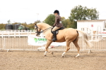SBM_04231