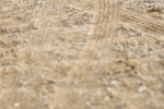 SBM_002677