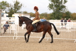 SBM_01560
