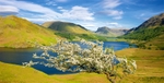 Crummock Water and Buttermere  EDC 272