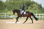 SBM_009722