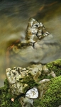 Afon Ystwyth 1