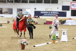 SBM_09952