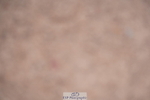 240802A-125632-04500
