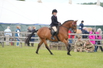 SBM_15810