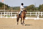 SBM_018631