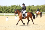 SBM_010041