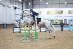SBM_000351