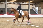 BPP_8438
