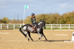 SBM_002161