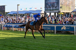 240726-Race 5-Diamond Rain-5502