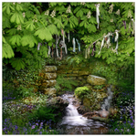 Hidden Holy Well