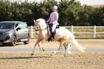 SBM_002313
