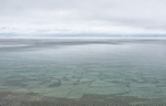 Fog--Dyers Bay