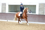 SBM_000686
