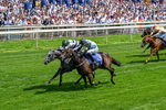 270626-Race 3-Naanas Shadow-0215