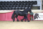SBM_04993