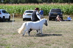 WJ6_4794