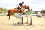 SBM_003953