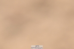 240509A-121750-01716