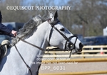 BPP_6031