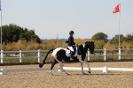 SBM_006499