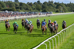 240824-Race 6-Tropical Storm-1807
