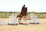 SBM_006549