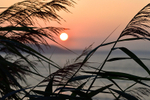 Hannafore Sunrise