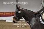 BPP_1817