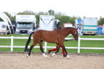 SBM_05008
