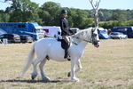 WJ6_8264