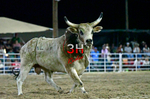 3HRodeo8-5-24_CFD_3HR-YUMA- 6164_