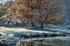 When Autumn And Winter Unite
