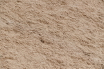 WJ5_6451