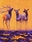 Courtship SOLD