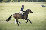 BVHT 140517  NXC -595