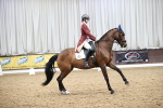 SBM_007092