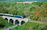 9th May 2009