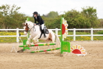 SBM_004091