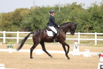 SBM_006220