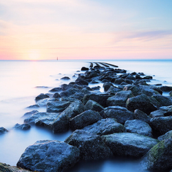 1 in 52 Project 2020 portfolio