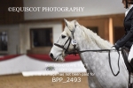 BPP_2493