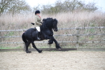 SBM_006351