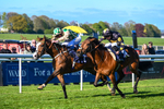 230426-Race 8-Barbury Boy-5962