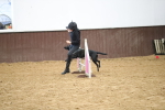 SBM_001889