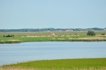 Hortobágy National Park, Hajdú-Bihar county, Hungary